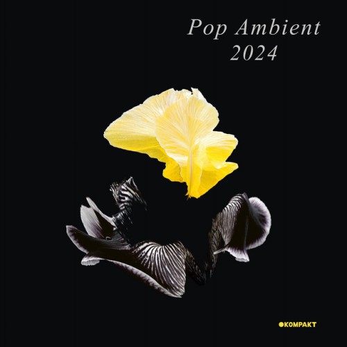 Various Artists - Pop Ambient 2024 (2023) Download