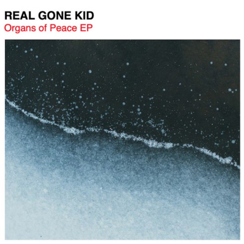 Real Gone Kid - Organs of Peace (2023) Download
