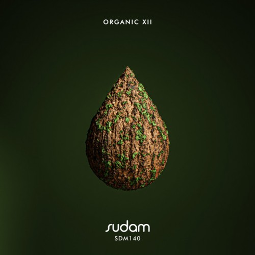 Various Artists - Organic XII (2023) Download
