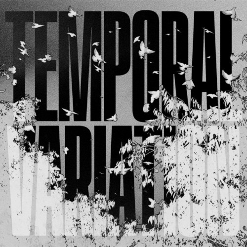 Various Artists - Temporal Variation VA002 (2023) Download