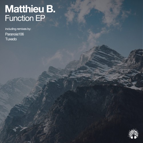 Matthieu B. - Function (2023) Download