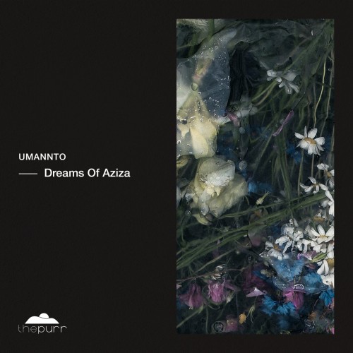 Umannto - Dreams Of Aziza (2023) Download