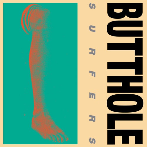 Butthole Surfers-Rembrandt Pussyhorse-16BIT-WEB-FLAC-1986-OBZEN