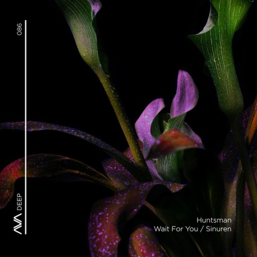 Huntsman - Wait For You / Sinuren (2023) Download