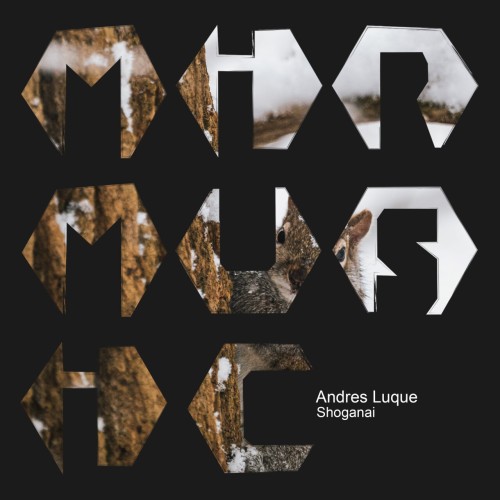 Andres Luque - Shoganai (2023) Download