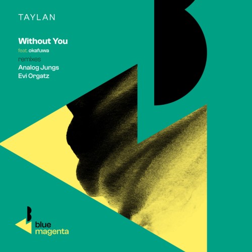 Taylan ft Okafuwa - Without You (Remixes) (2023) Download