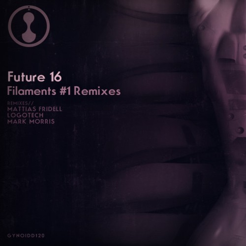Future 16 – Filaments #1 Remixes (2014)