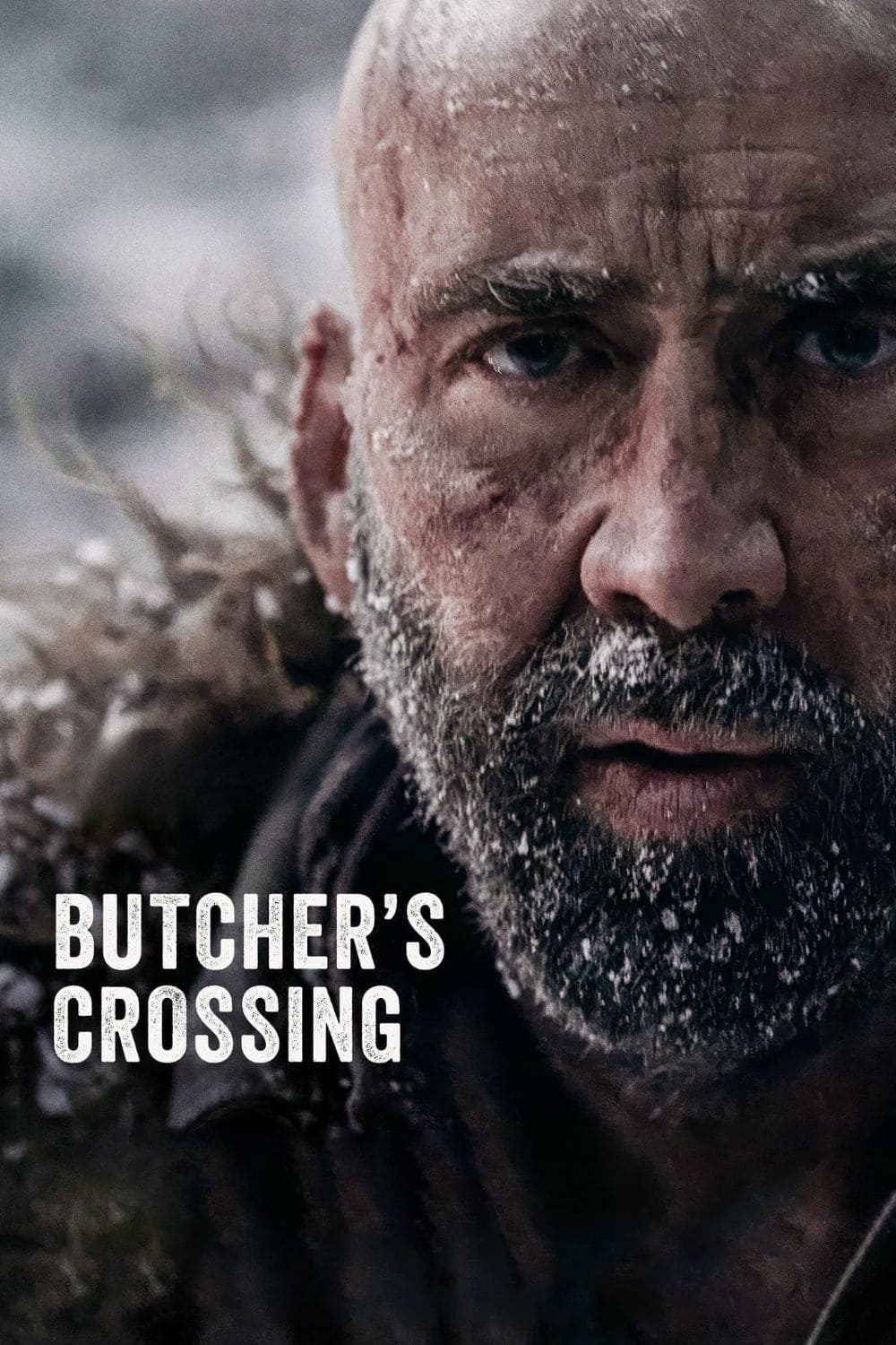 Butcher's Crossing (2023) Download