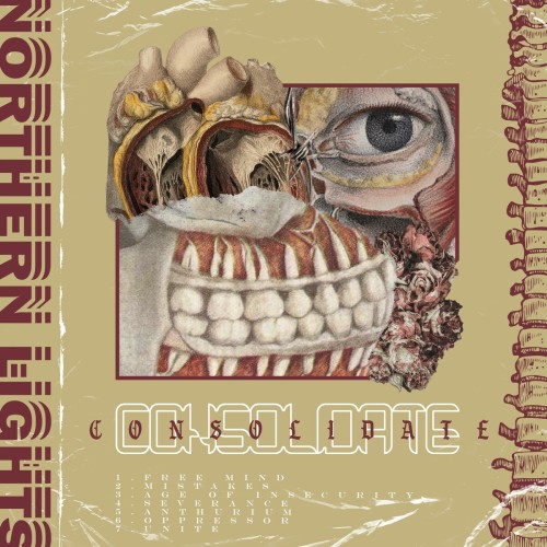 Cold Grip - Consolidate (2020) Download