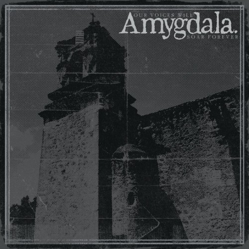 Amygdala - Our Voices Will Soar Forever (2019) Download