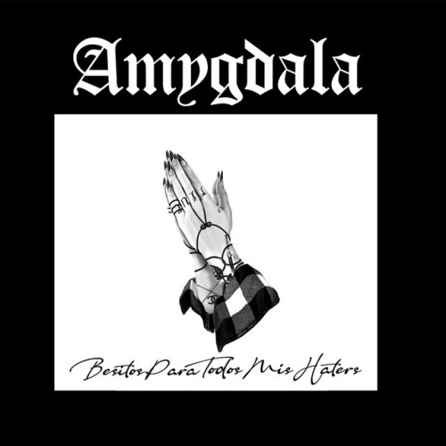 Amygdala - Besitos Para Todos Mis Haters (2022) Download