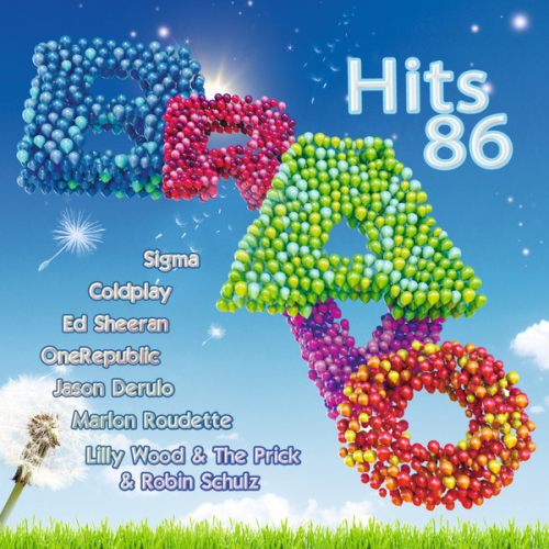 Various Artists - Bravo Hits 86 (2014) Download