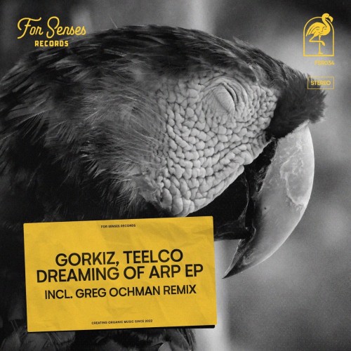 Gorkiz and TEELCO-Dreaming of Arp-(FSR034)-16BIT-WEB-FLAC-2023-AFO