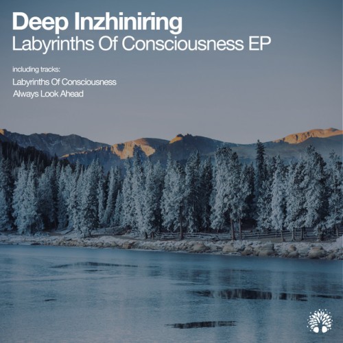 Deep Inzhiniring-Labyrinths of Consciousness-(ETREE481)-16BIT-WEB-FLAC-2023-AFO