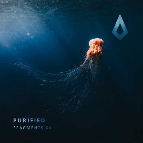 Various Artists - Fragments XVII (2023) Download