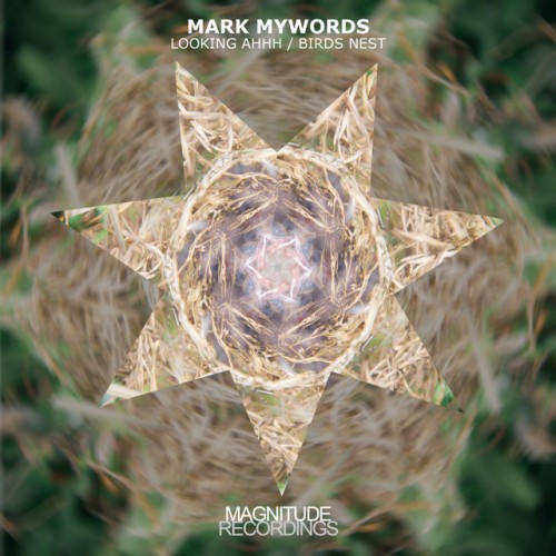 Mark Mywords - Looking Ahhh / Birds Nest (2023) Download