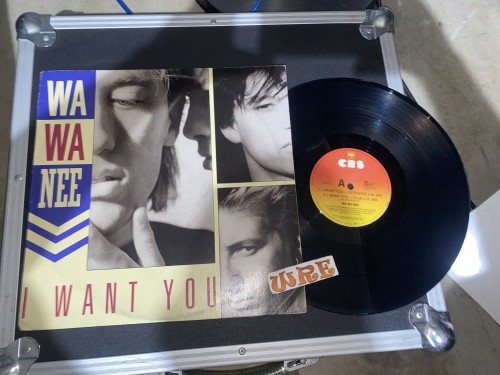 WA Wa Nee-I Want You-(654879 6)-VINYL-FLAC-1989-WRE