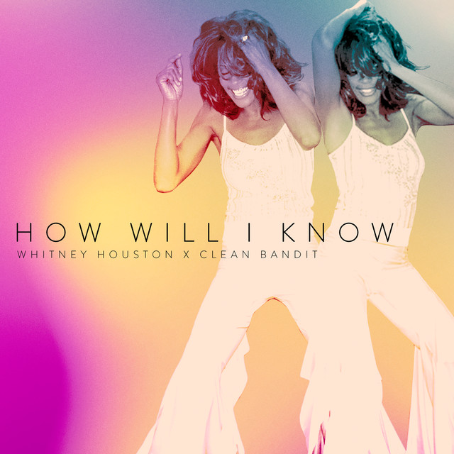 Whitney Houston-How Will I Know-(TDS-315)-VINYL-FLAC-1986-WRE