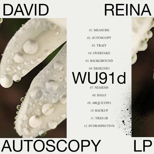 David Reina - Autoscopy LP (2024) Download