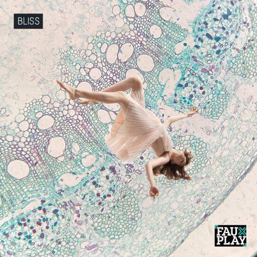 Fauxplay – Bliss (The Mixes) (2024)