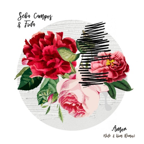 Seba Campos & Fida - Amor (Dole and Kom Remix) (2024) Download