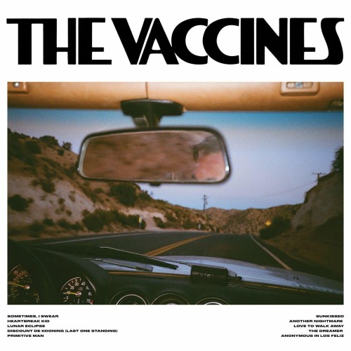 The Vaccines - Pick-Up Full Of Pink Carnations (2024) Download