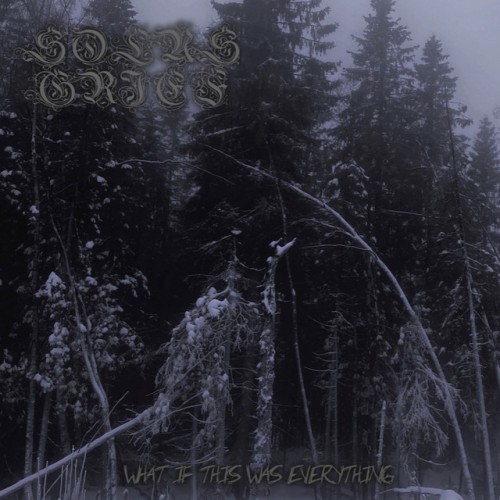 Solus Grief-What If This Was Everything-CD-FLAC-2023-TOTENKVLT