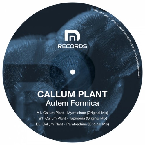 Callum Plant - Autem Formica (2019) Download