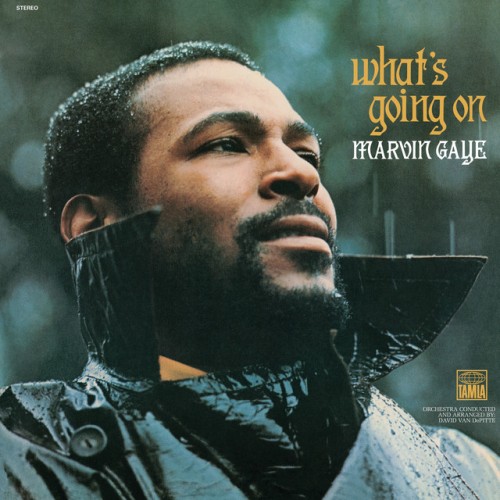 Marvin Gaye – What’s Going On (1998)