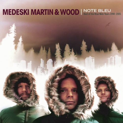 Medeski And Martin and Wood-Note Bleu The Best Of-16BIT-WEB-FLAC-2006-OBZEN