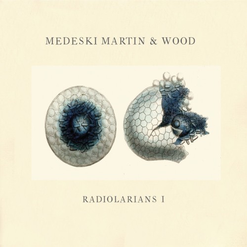Medeski, Martin & Wood – Radiolarians 1 (2008)