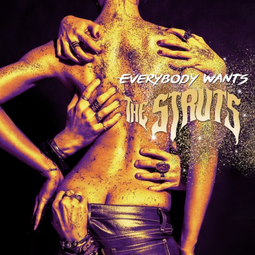 The Struts-Everybody Wants-24BIT-44KHZ-WEB-FLAC-2014-OBZEN
