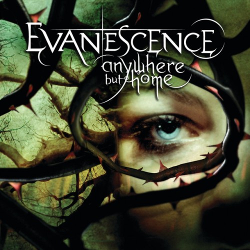 Evanescence – Anywhere But Home (2004)
