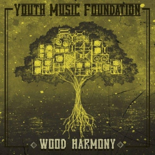Wood Harmony x Natty Nature – Youth Music Foundation (2018)