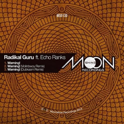 Radikal Guru x Echo Ranks - Warning! (2013) Download