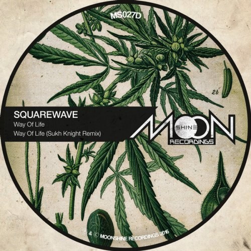 Squarewave - Way Of Life (2016) Download
