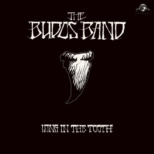The Budos Band – Long in the Tooth (2020)