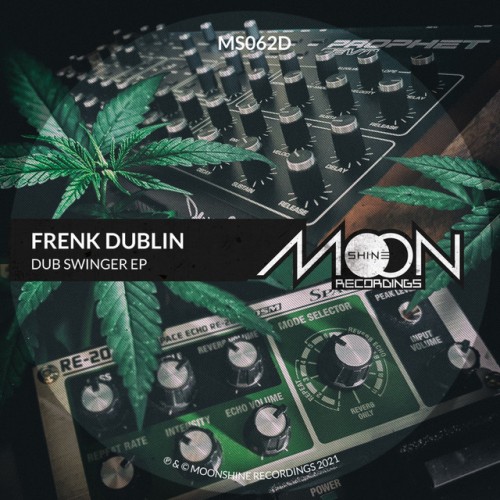 Frenk Dublin - Dub Swinger (2021) Download