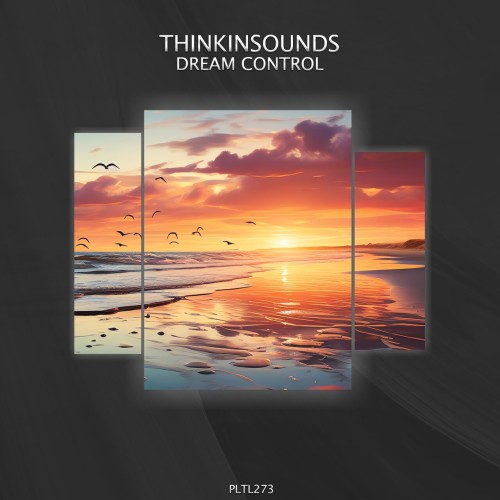 thinkinsounds – Dream Control (2024)