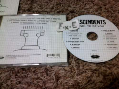 Descendents  – Cool to be You (2004)