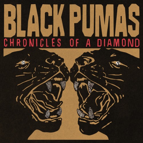 Black Pumas – Black Pumas (2020)