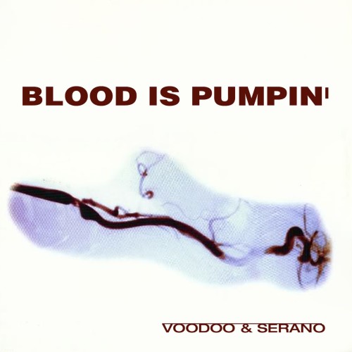 VOODOO & Serano - Blood Is Pumping (2024) Download