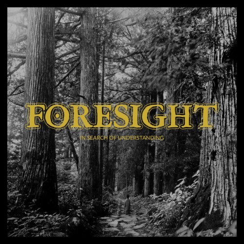 Foresight – In Search Of Understanding (2022)