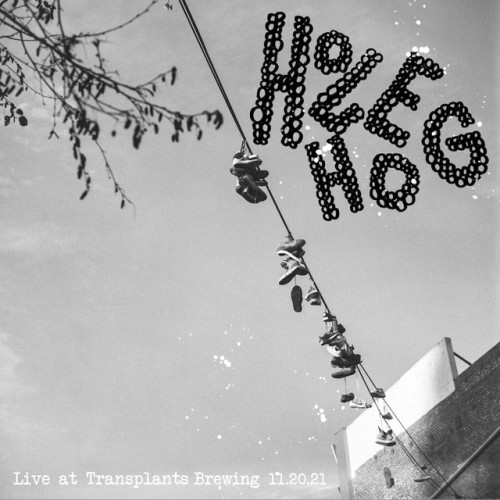Holehog – Live At Transplants Brewery (2021)