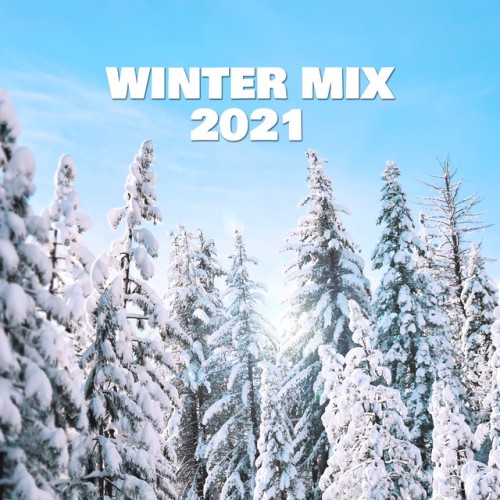 Various Artists – Hexagonal Winter 2024 (2024)