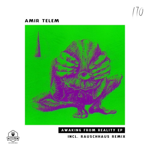 Amir Telem - Awaking From Reality (2024) Download