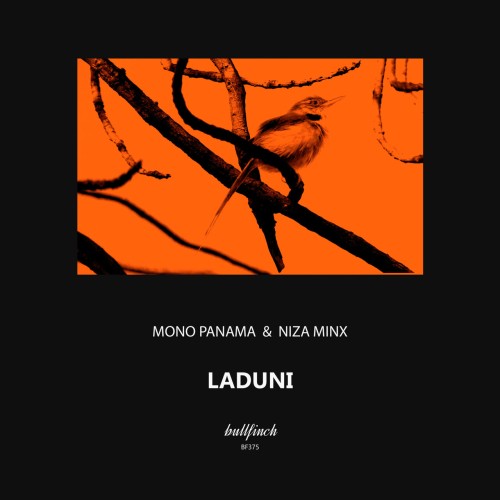Mono Panama - Laduni (2024) Download