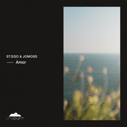 St.Ego & Jomoss - Amor (2024) Download