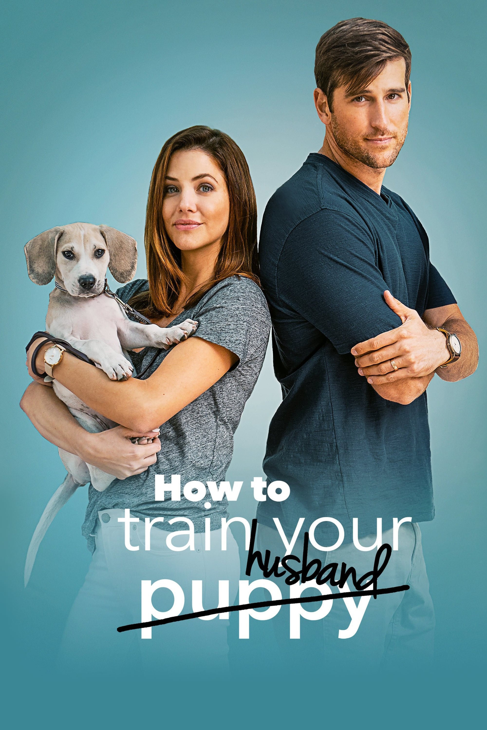How to Train Your Husband (2018) Download
