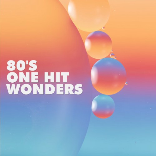 Various Artists – Top 40 Hitdossier One Hit Wonders (2021)